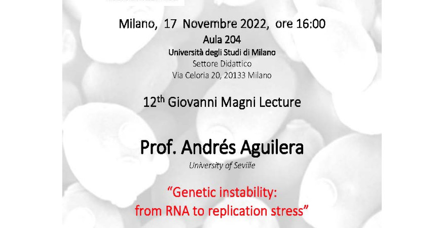 Genetic instability: from RNA to replication stress
