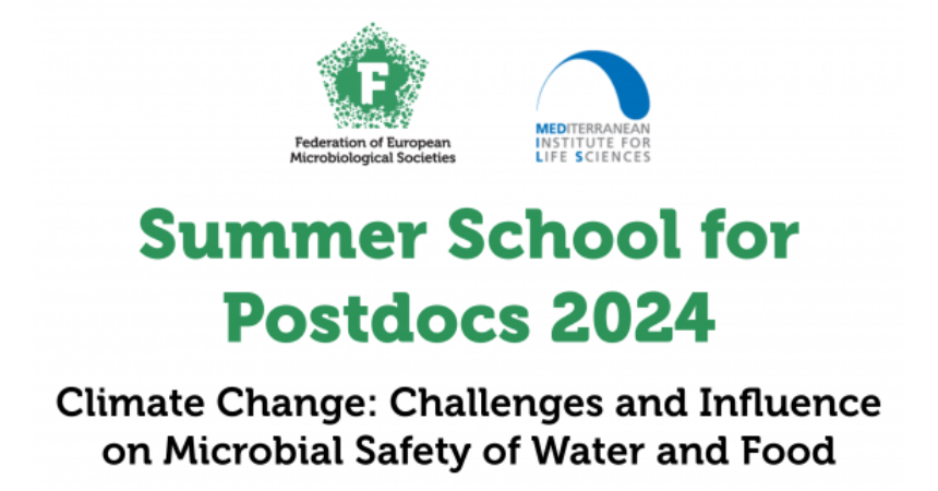 Summer School for Postdocs 2024